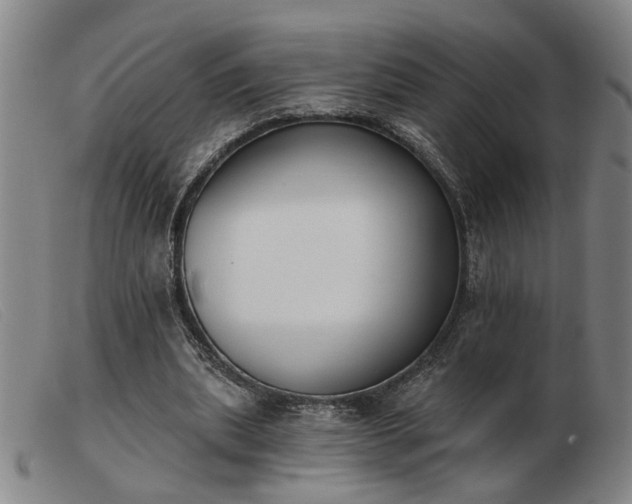 X0000103420439200809191641