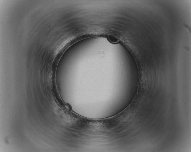 X0000103420440200809191641