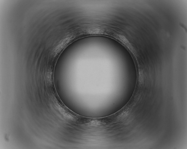 X0000103420441200809191641