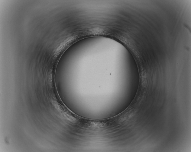 X0000103420442200809191641