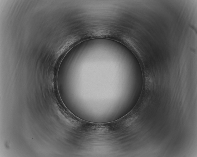 X0000103420443200809191641