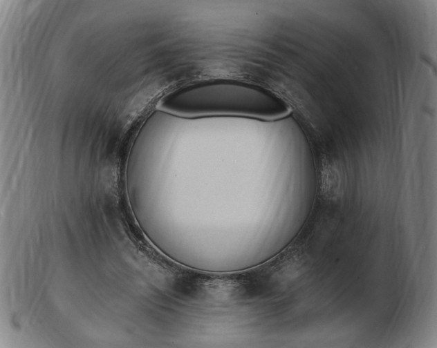 X0000103420444200809191641