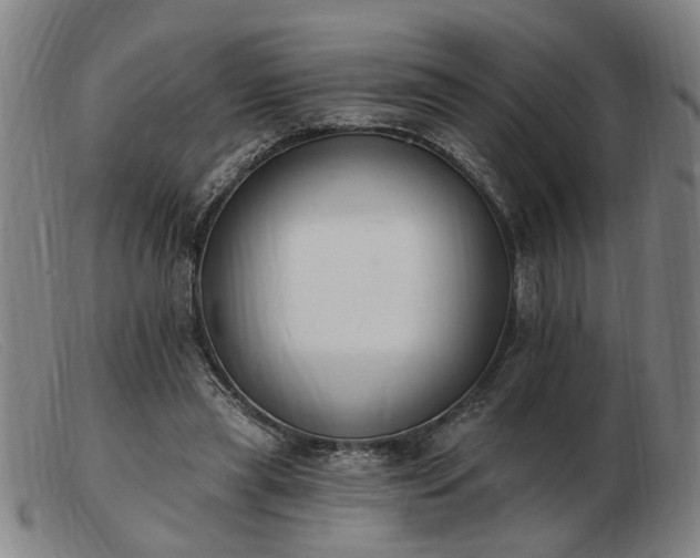 X0000103420445200809191641