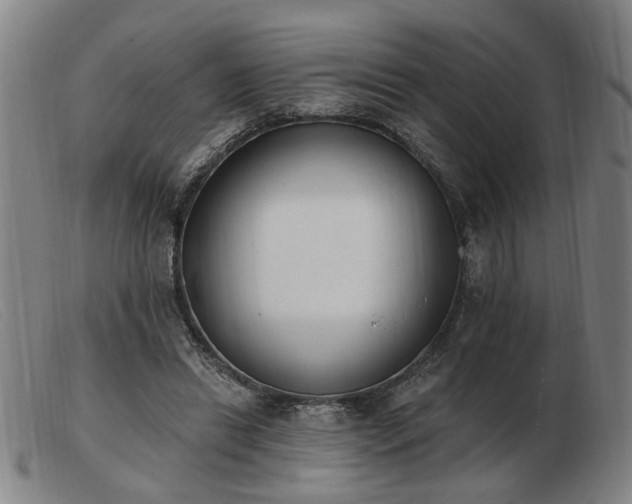 X0000103420446200809191641