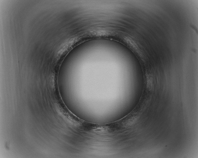 X0000103420447200809191641