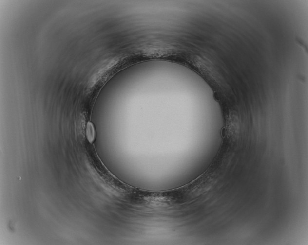 X0000103420448200809191641