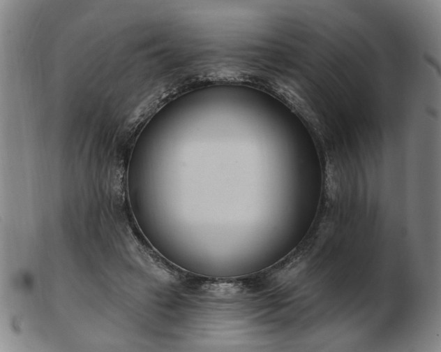 X0000103420449200809191641