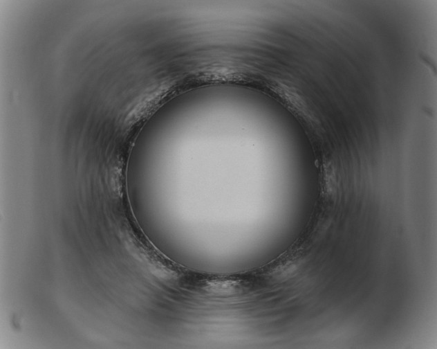 X0000103420450200809191641