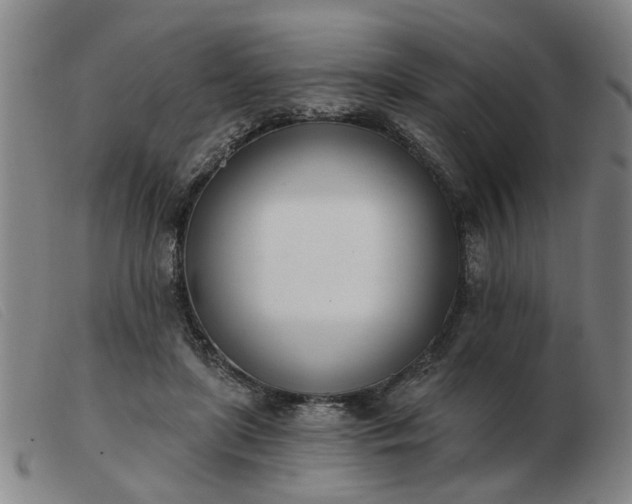X0000103420451200809191641