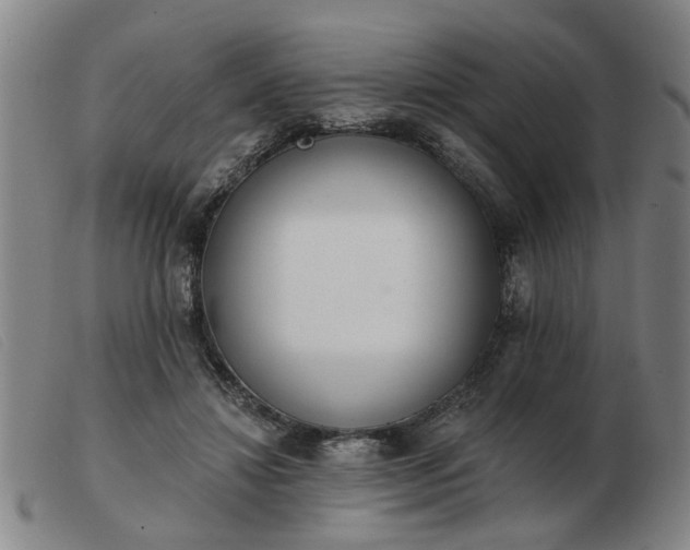 X0000103420452200809191641