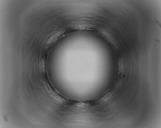 X0000103420453200809191641