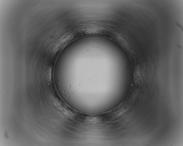 X0000103420454200809191641