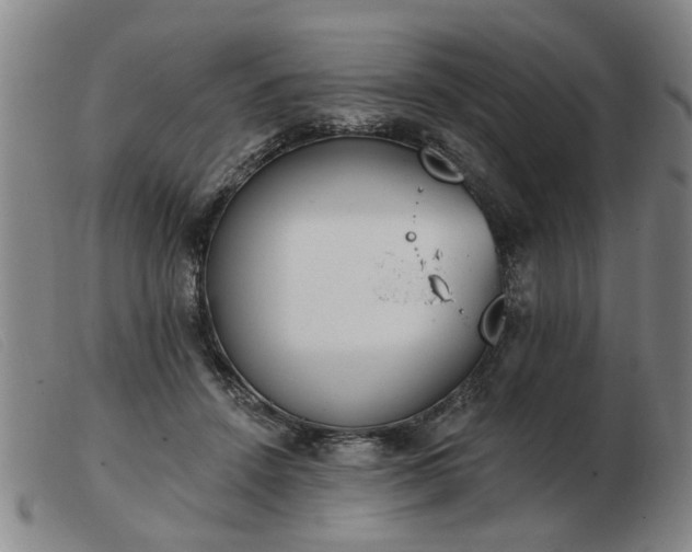 X0000103420456200809191641