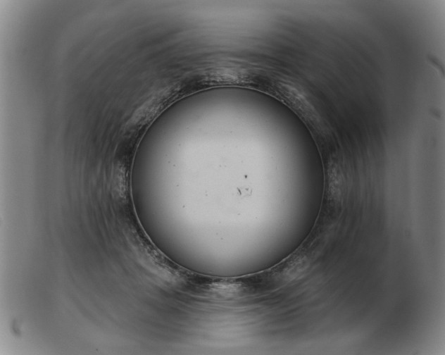 X0000103420457200809191641