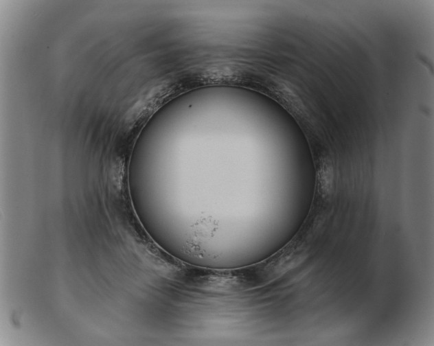 X0000103420458200809191641