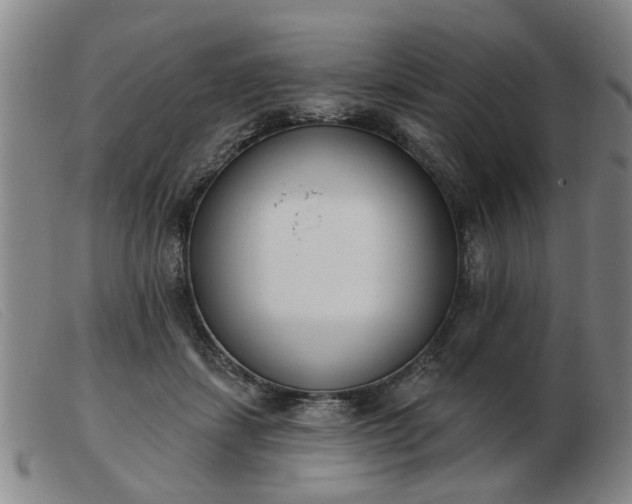 X0000103420459200809191641