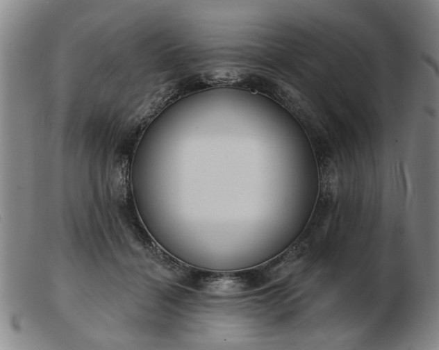 X0000103420460200809191641