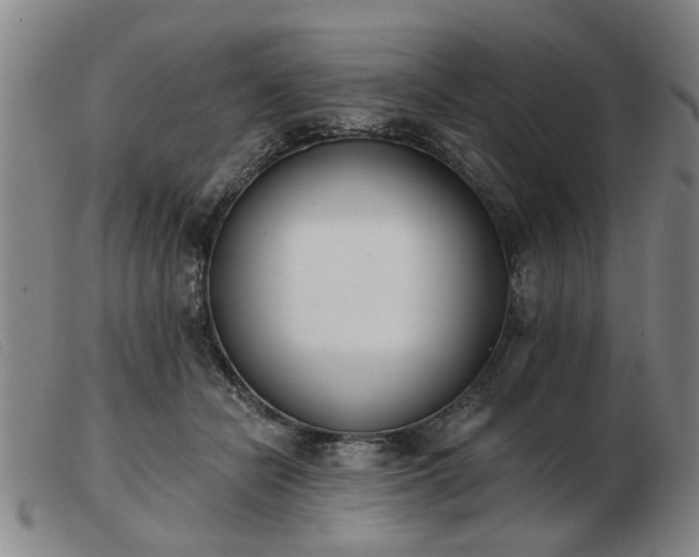 X0000103420462200809191641