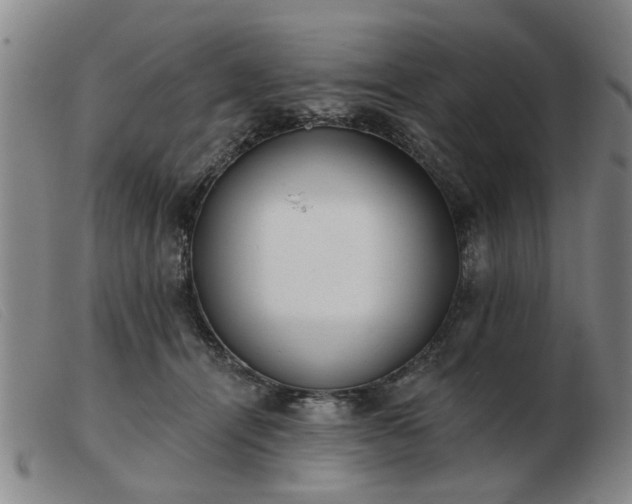 X0000103420464200809191641