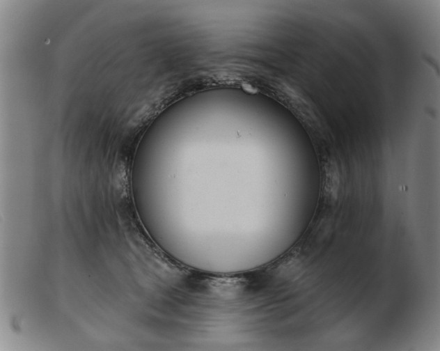 X0000103420465200809191641