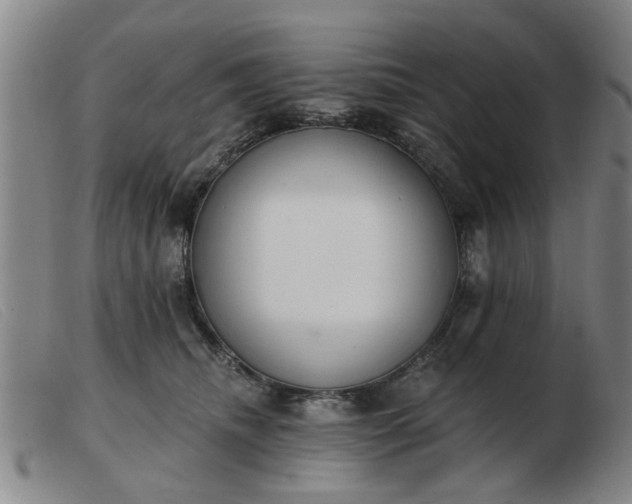X0000103420468200809191641