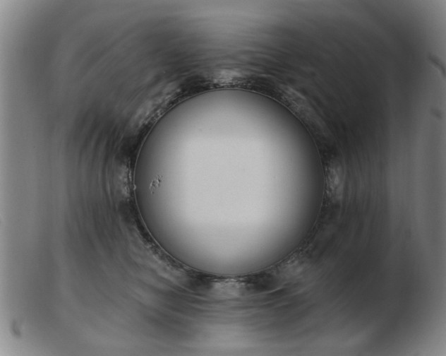 X0000103420470200809191641