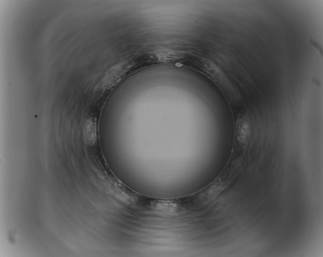 X0000103420471200809191641
