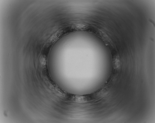 X0000103420472200809191641