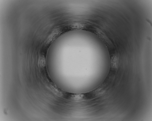 X0000103420474200809191641