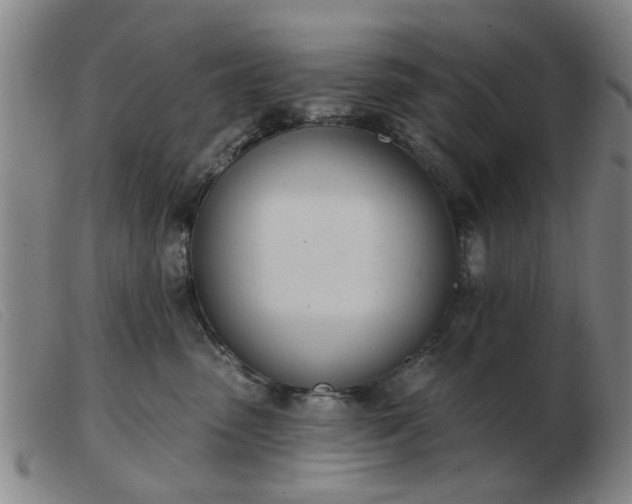 X0000103420475200809191641