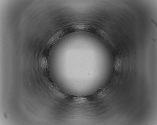 X0000103420476200809191641
