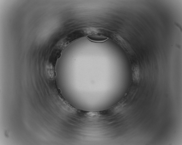 X0000103420477200809191642