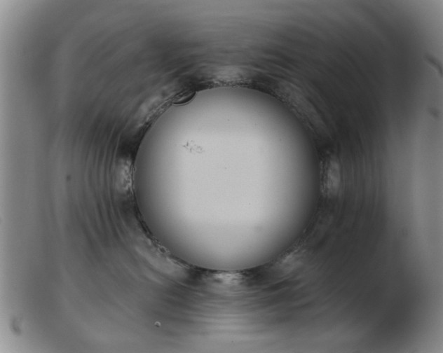 X0000103420478200809191642