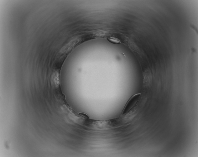 X0000103420479200809191642