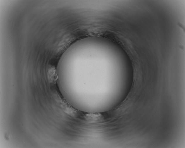 X0000103420480200809191642