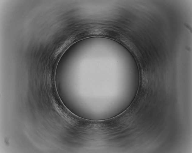 X0000103420482200809191641