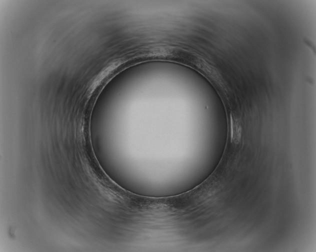 X0000103420483200809191641