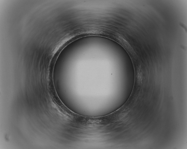 X0000103420484200809191641