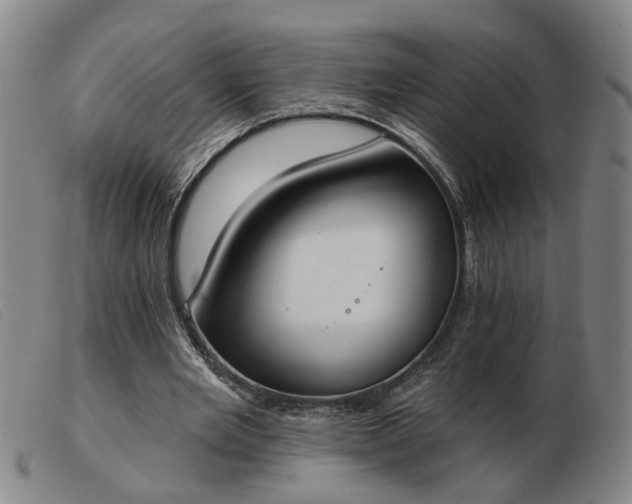 X0000103420485200809191641