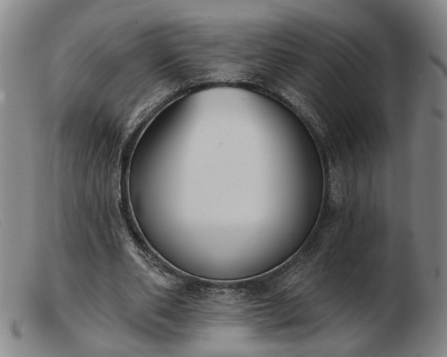 X0000103420486200809191641