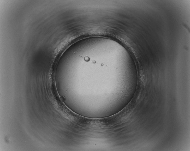 X0000103420487200809191641