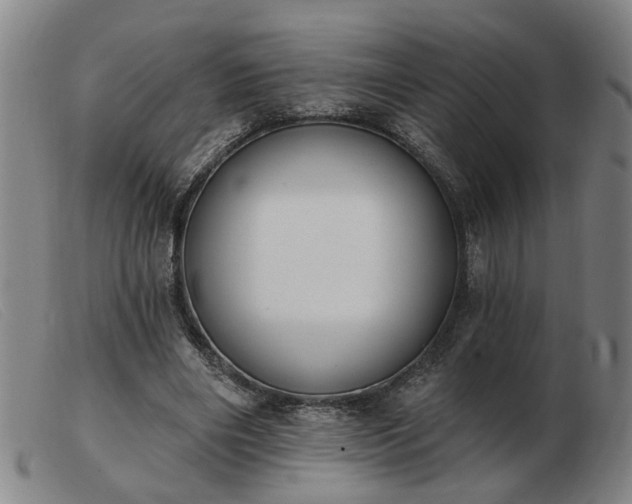 X0000103420490200809191641