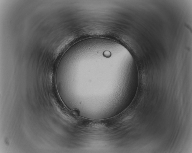 X0000103420491200809191641
