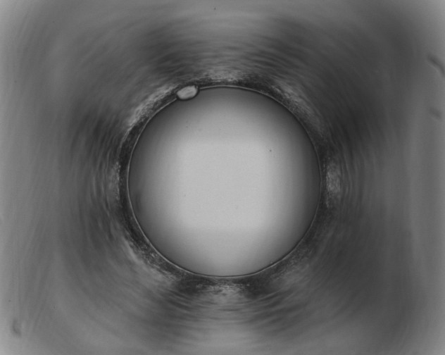 X0000103420492200809191641