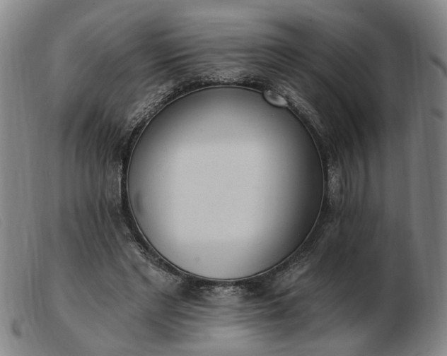 X0000103420493200809191641