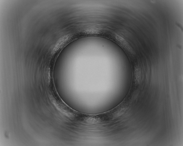 X0000103420494200809191641