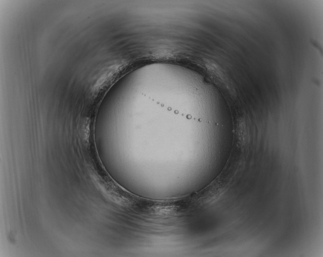 X0000103420495200809191641