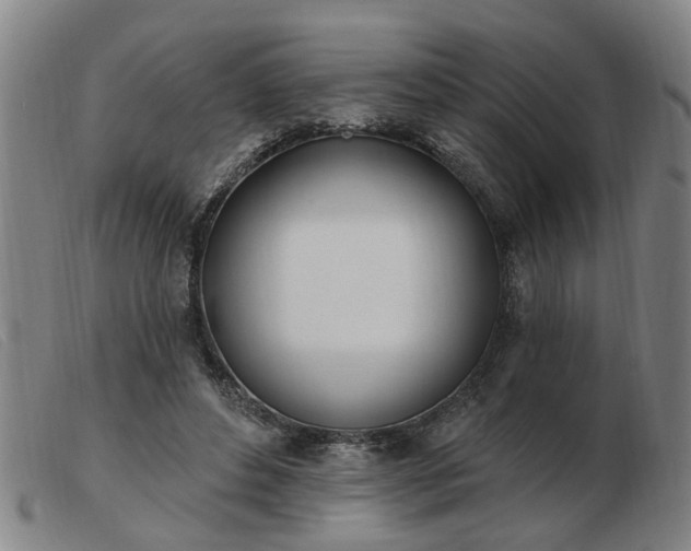 X0000103420496200809191641