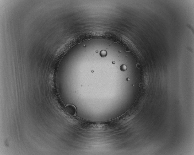 X0000103420497200809191641