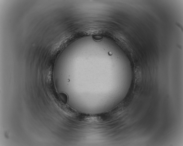 X0000103420499200809191641